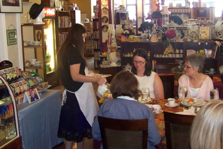 Some scenes from Brittany Gordon's National American Miss Sponsor Tea, October 2008